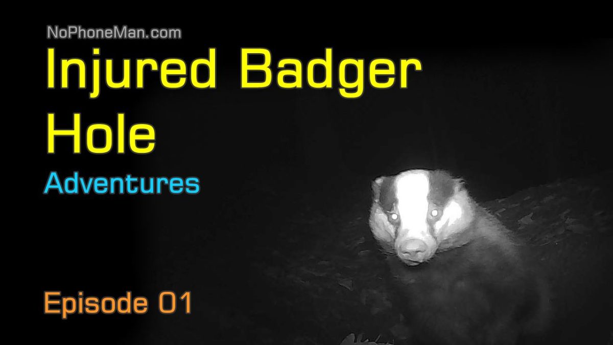 My Adventures at Injured Badger Hole – Episode 01