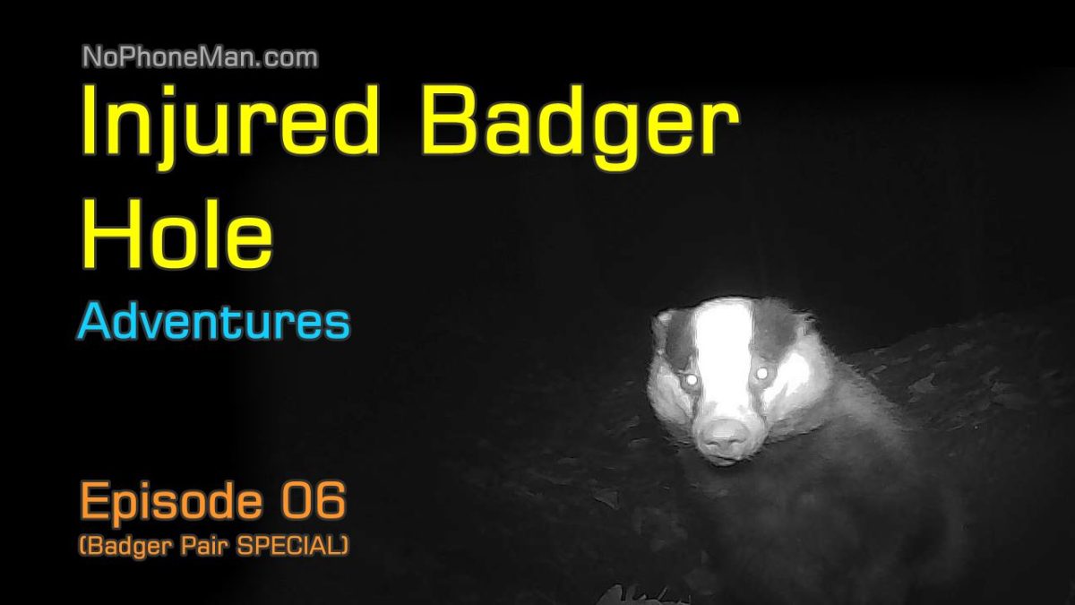 My Adventures at Injured Badger Hole – Episode 06 (Badger Pair SPECIAL)