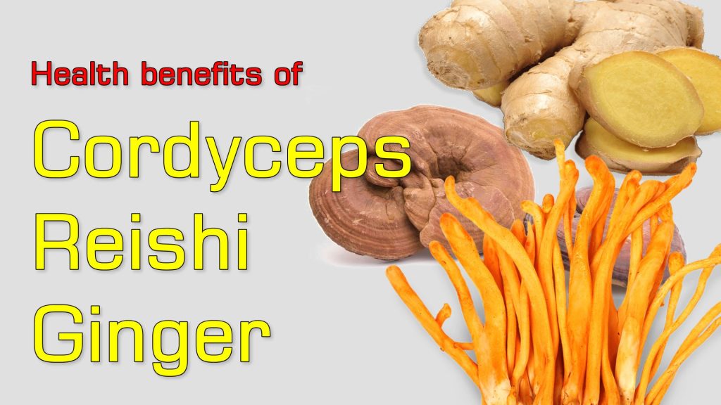 Science Proven Health Benefits of Cordyceps, Reishi and Ginger + How I Make Them Into Tea