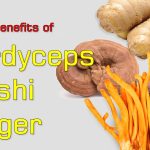 Science Proven Health Benefits of Cordyceps, Reishi and Ginger + How I Make Them Into Tea