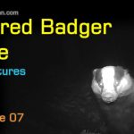 My Adventures at Injured Badger Hole - Episode 07