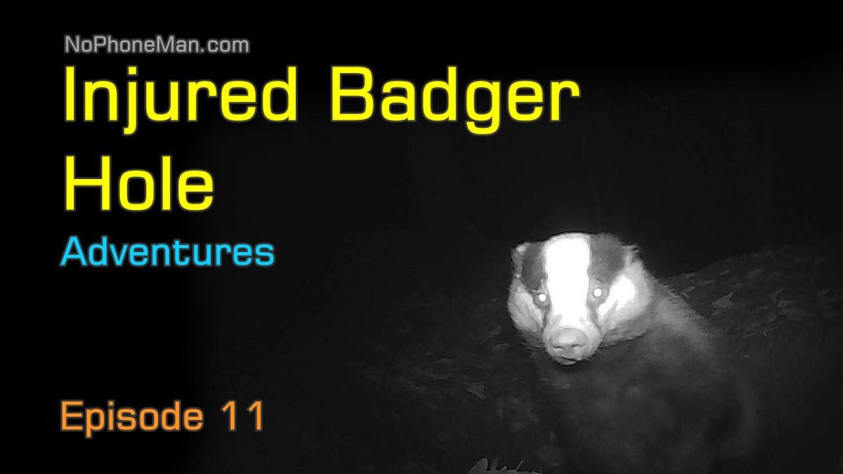 My Adventures at Injured Badger Hole – Episode 11