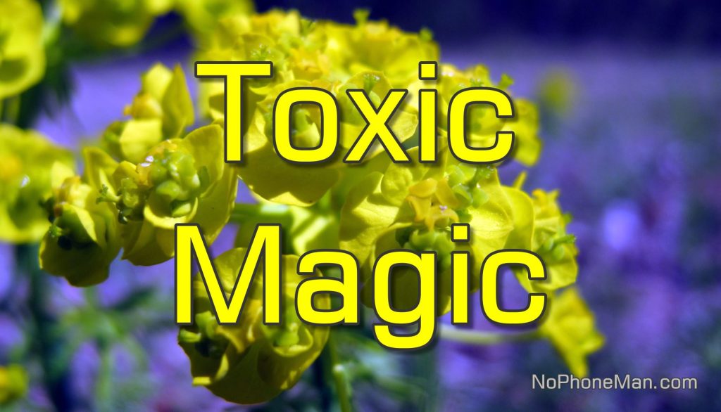 Magic Trick Using Milky Sap of Toxic Cypress Spurge Euphorbia Cyparissias